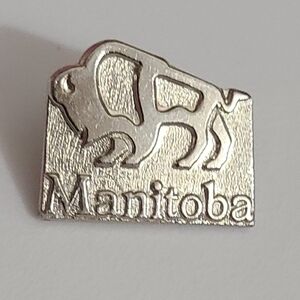 Vintage Manitoba Buffalo Canada brooch pin collectable collection silver